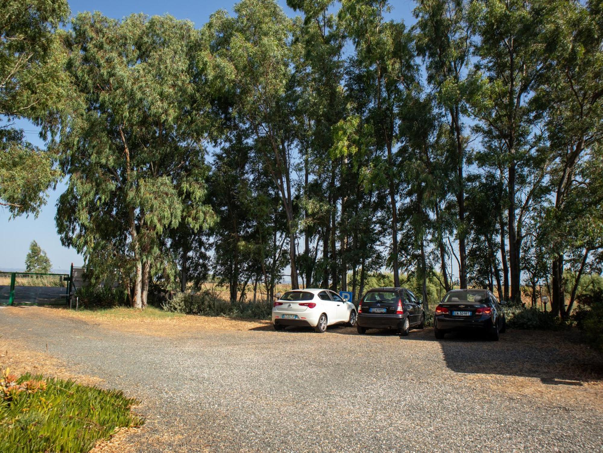 Agriturismo I Gelsi Marina Di Grosseto Bagian luar foto